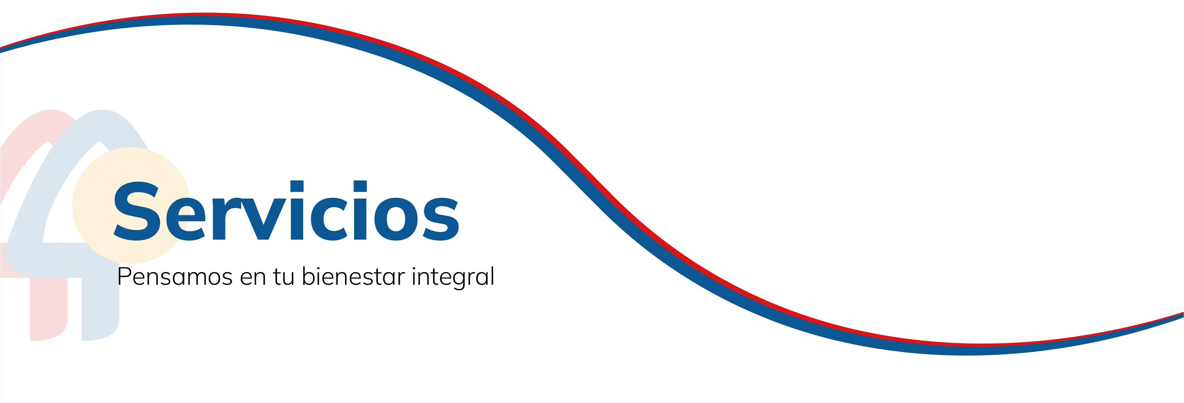 Imagen linea de la portada